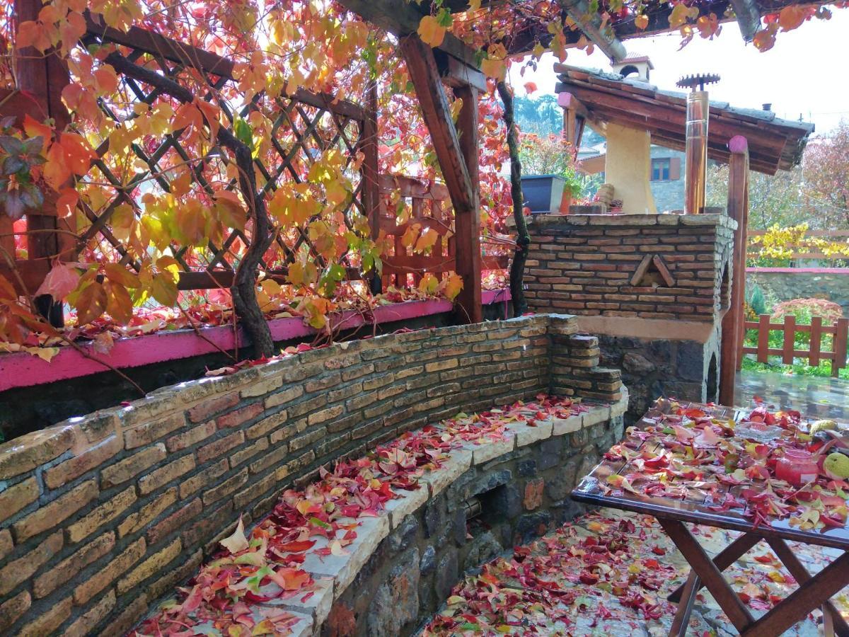 Hotel Archontiko Nikolopoulou Vitina Exterior foto